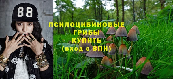 синтетический гашиш Заводоуковск