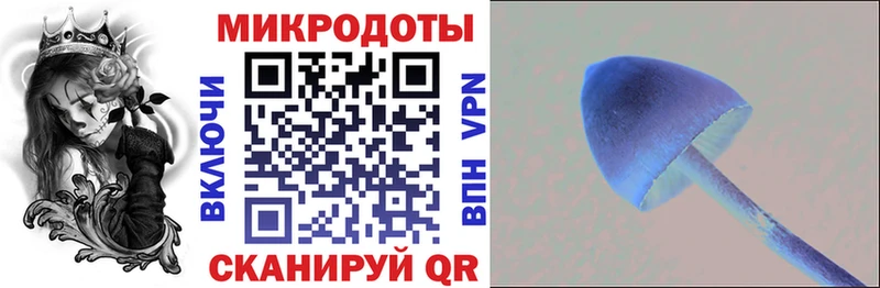где можно купить наркотик  Белогорск  Псилоцибиновые грибы GOLDEN TEACHER 