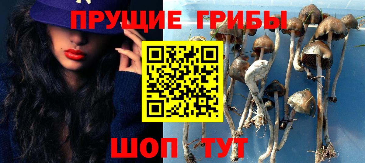 Псилоцибиновые грибы прущие грибы Белогорск