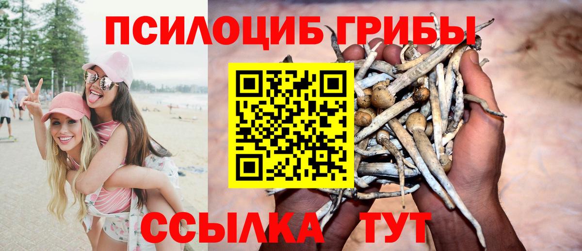 Псилоцибиновые грибы мицелий  Вход с VPN  Белогорск  Галлюциногенные грибы мицелий 
